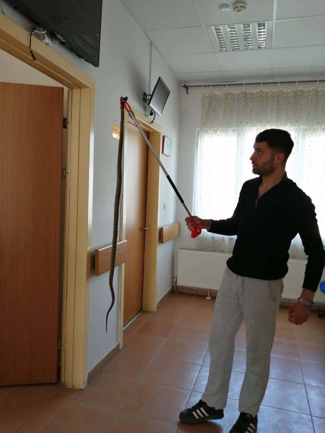 Yılanları mıknatıs gibi çeken 4 nokta belli oldu! Evinde olanlar dikkat - Resim: 26